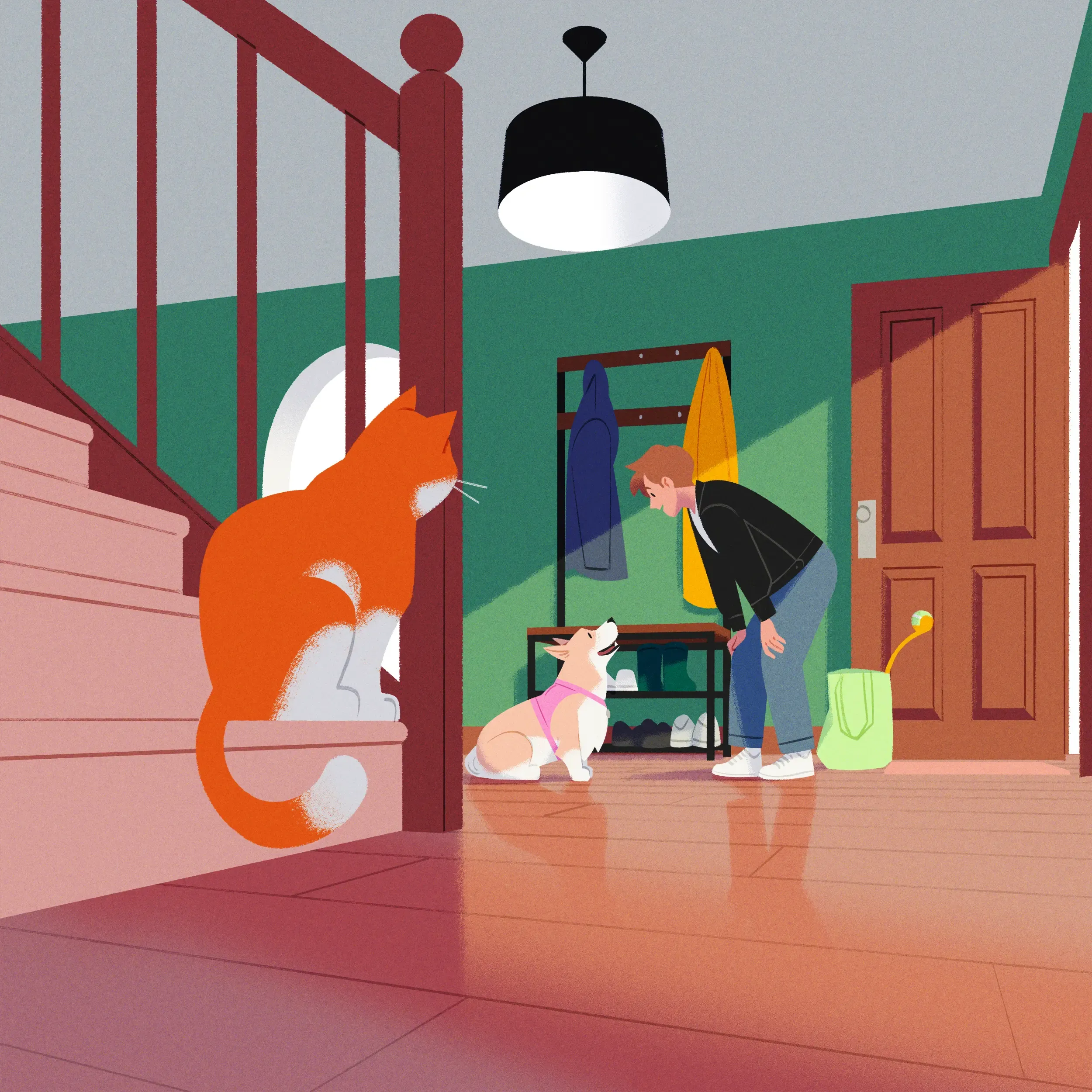 Pet care