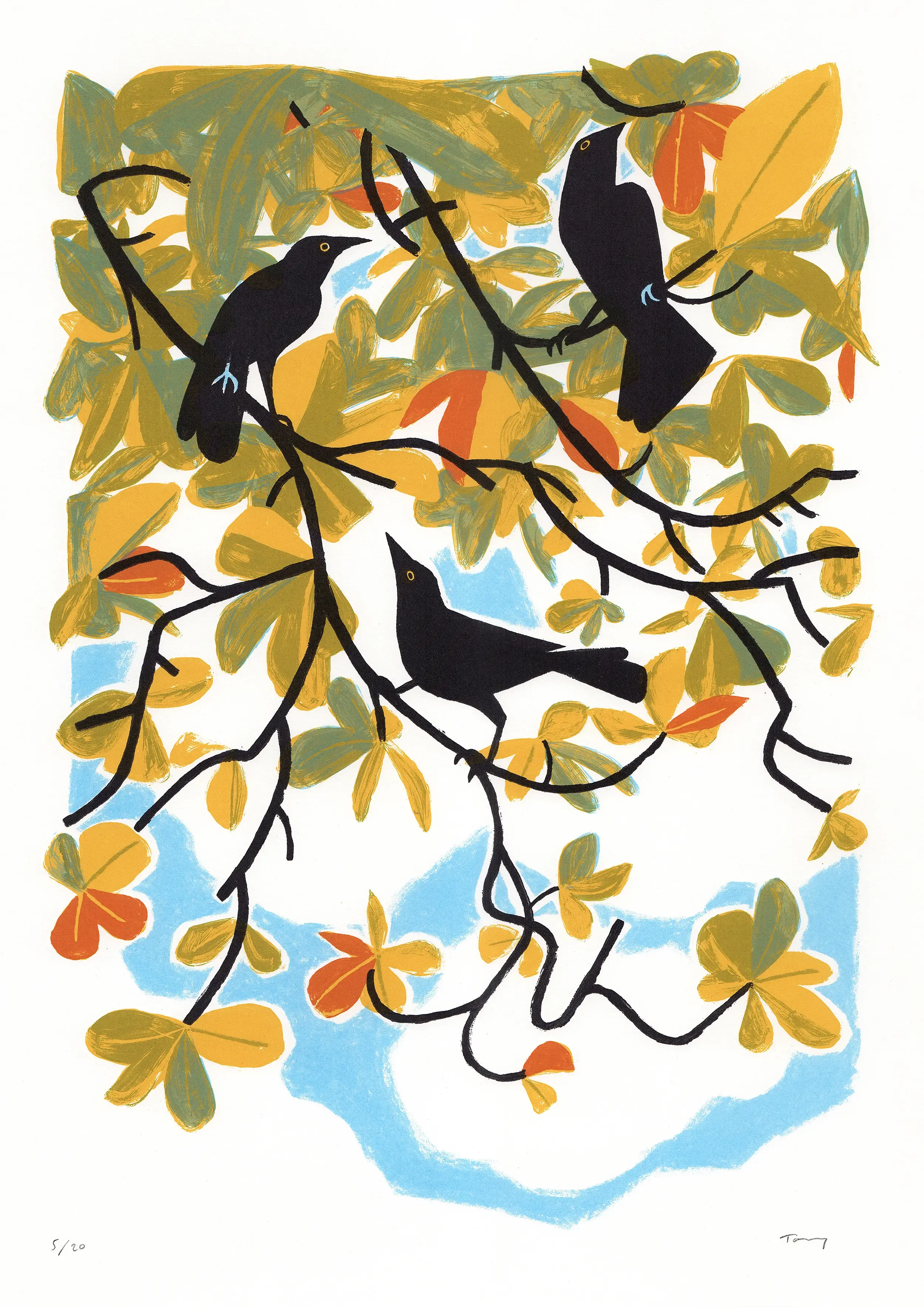Carib grackles