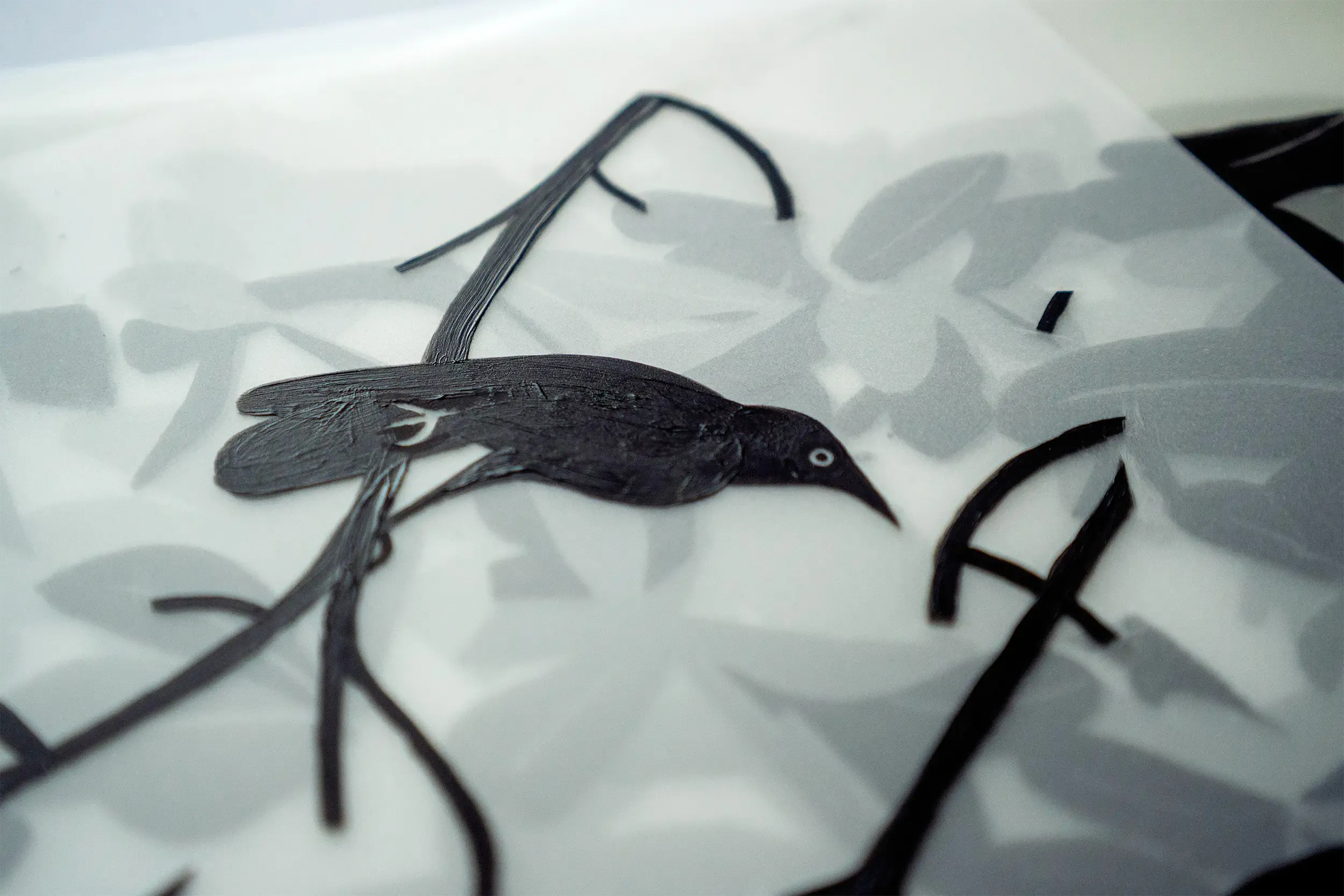 Carib grackles detail