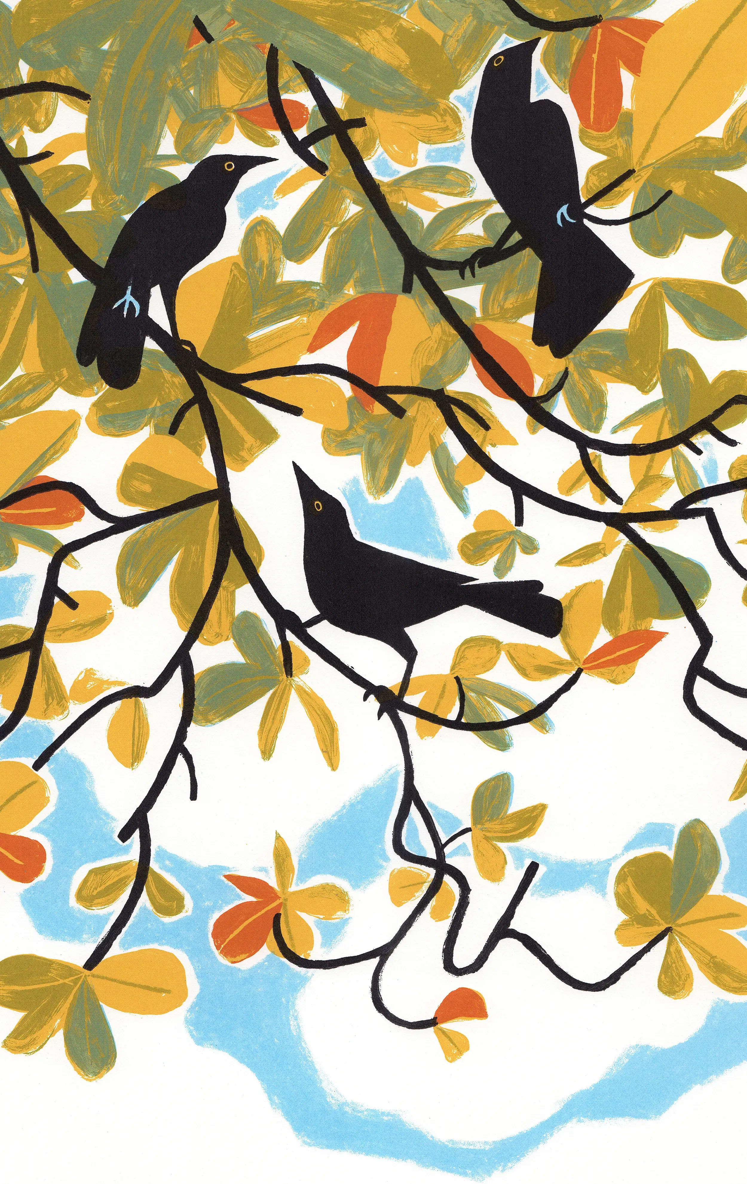Carib grackles