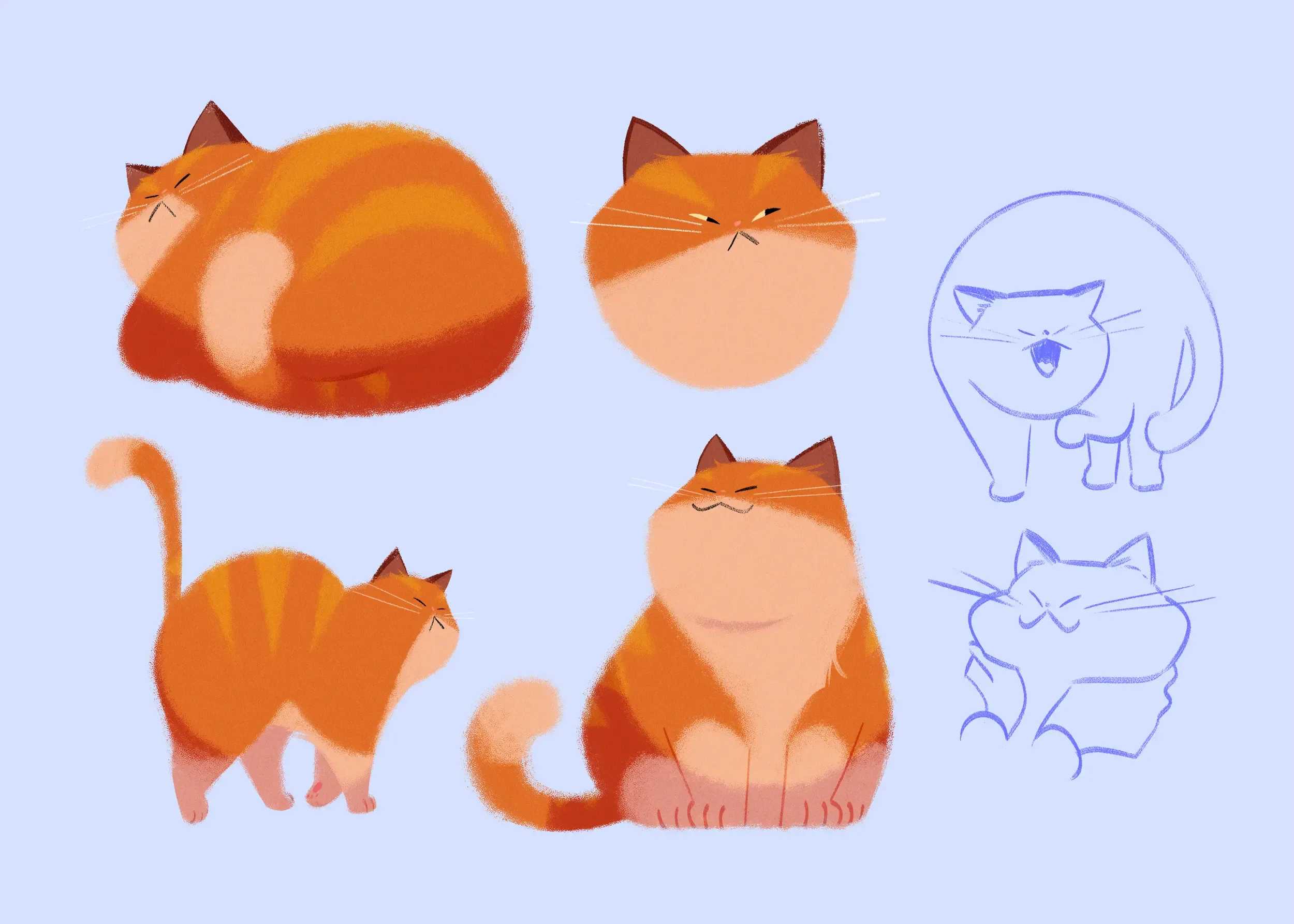 Pumpkin the cat