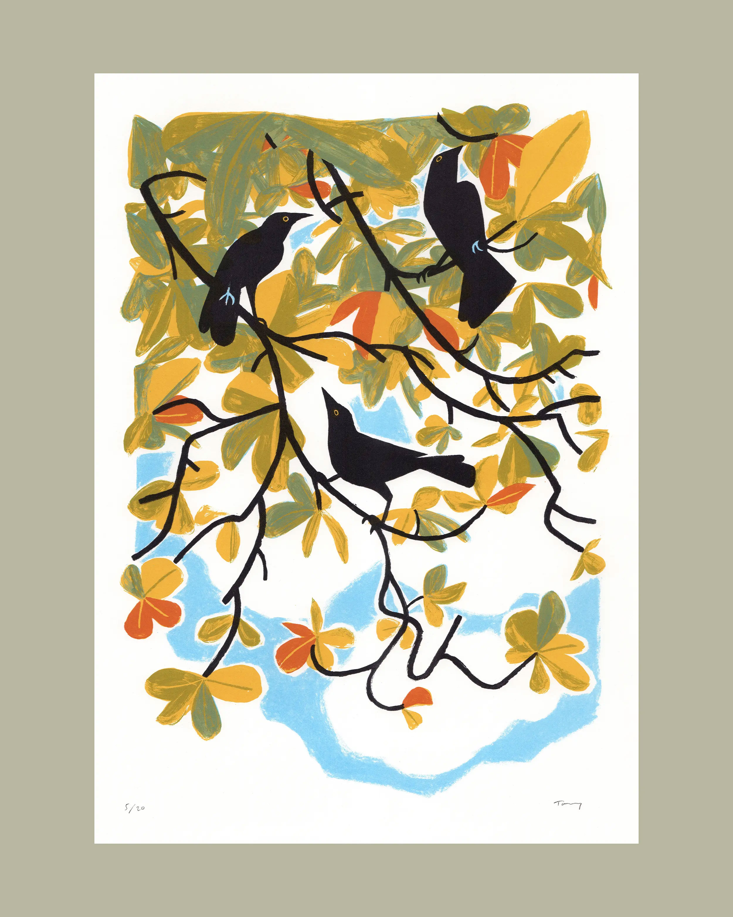 Carib grackles