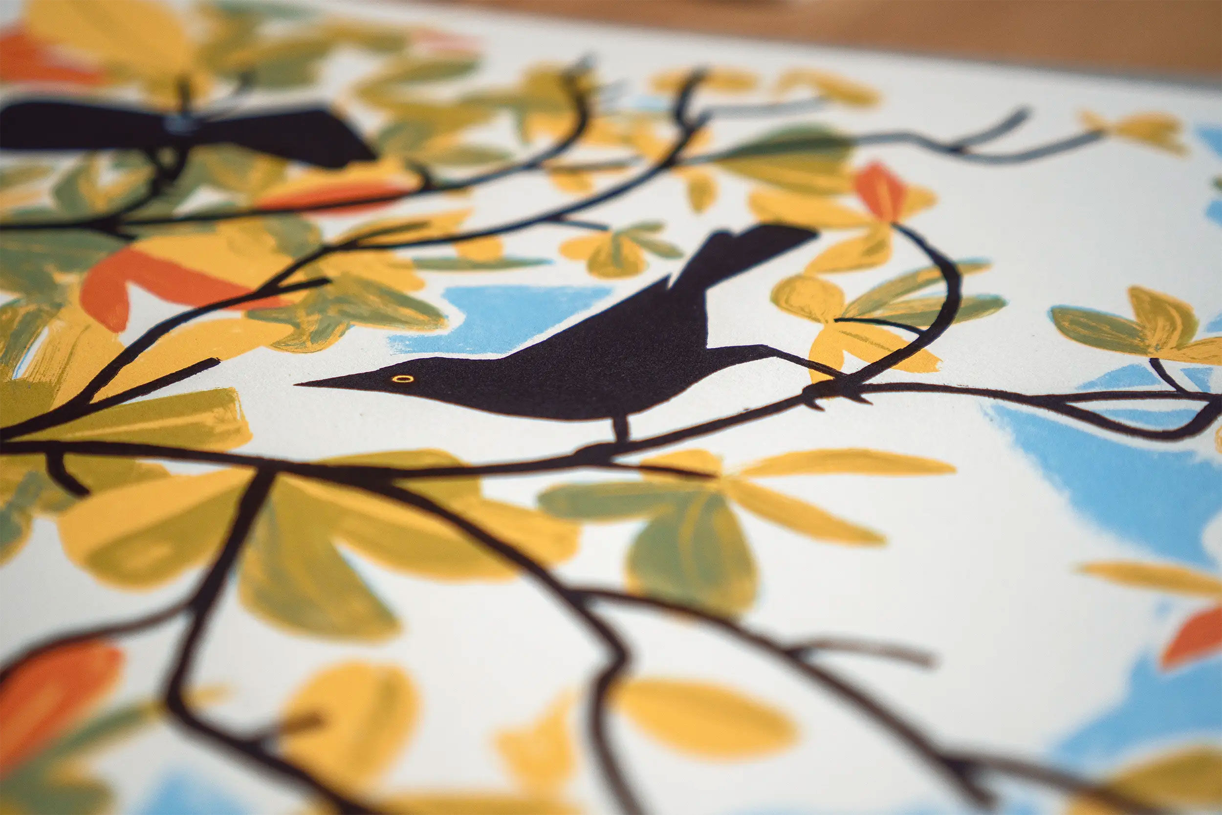 Carib grackles photo